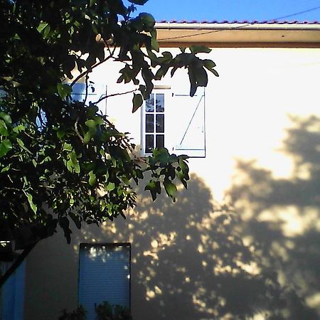 Apartment Albert Parking Prive Gratuit Limoux Exterior foto